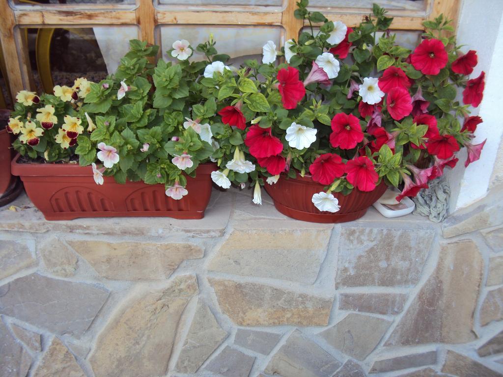 Amfora Guest House Byala  Exterior foto